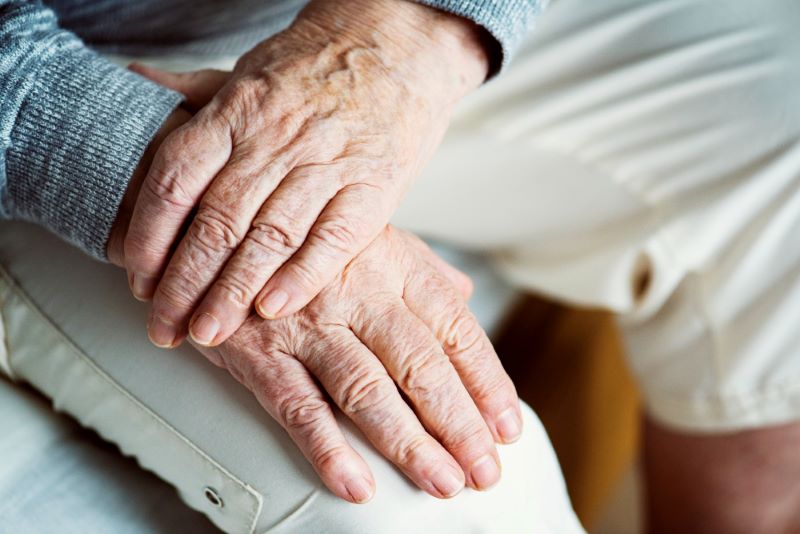 Active Aging Program